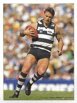 1992 Select AFL Stickers #136 Tim Darcy Front